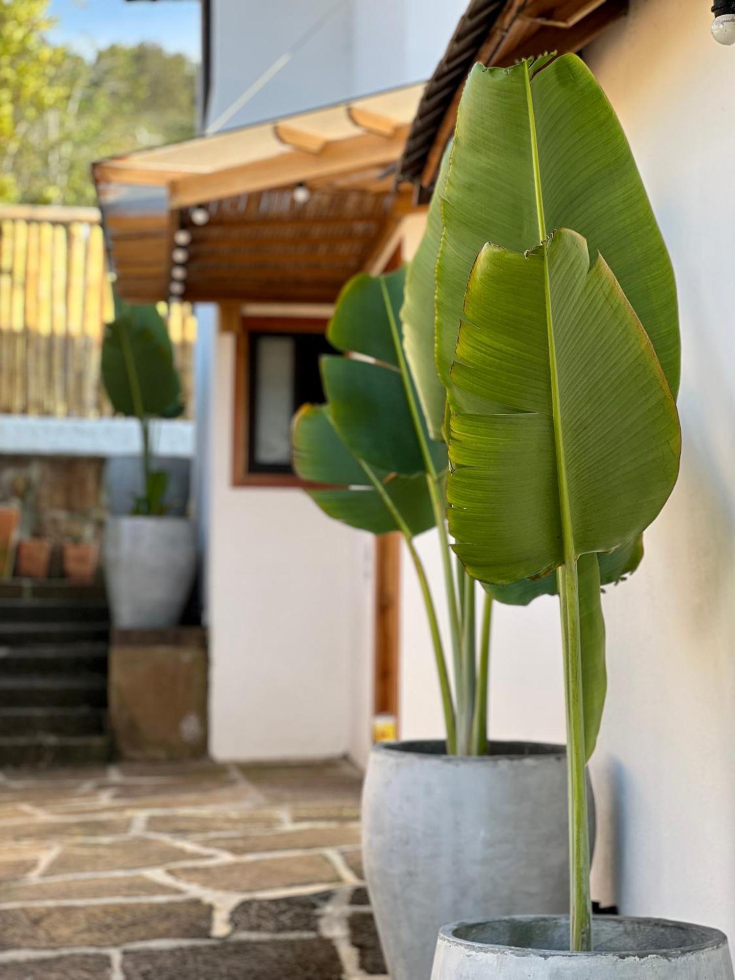 Hotel Campestre Palmas Del Zamorano San Gil Dış mekan fotoğraf
